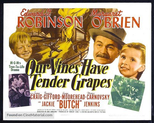 Our Vines Have Tender Grapes Movie Poster