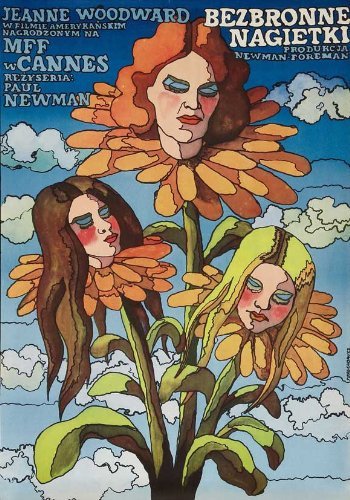 The Effect of Gamma Rays on Man-in-the-Moon Marigolds Movie Poster