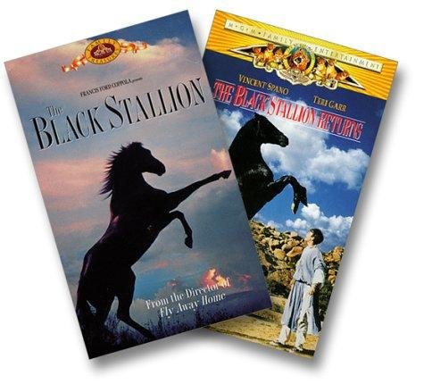 The Black Stallion Movie Poster