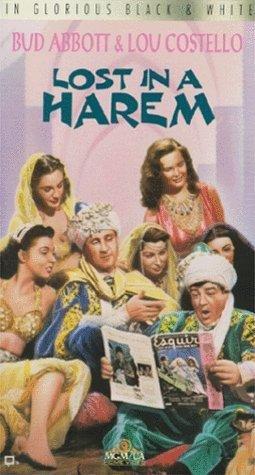 Lost in a Harem Movie Poster