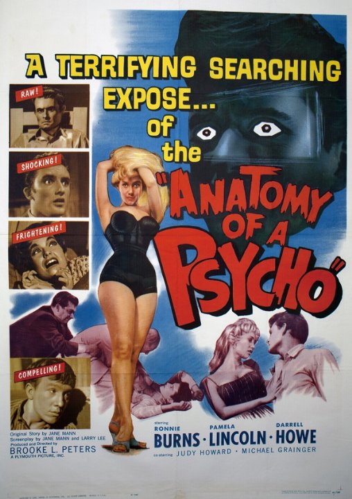 Anatomy of a Psycho Movie Poster