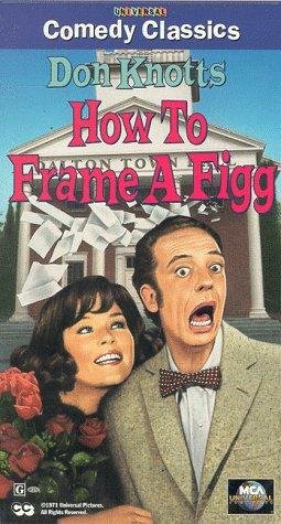 How to Frame a Figg Movie Poster