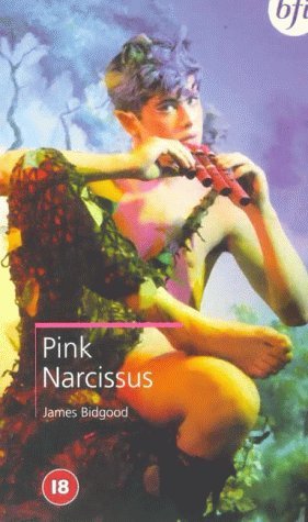 Pink Narcissus Movie Poster