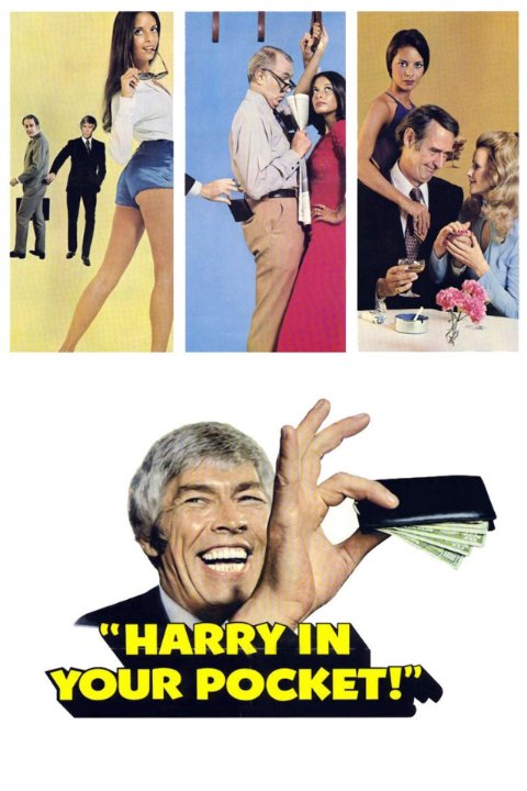 Harry in Your Pocket Movie Poster
