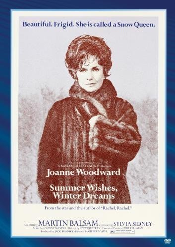 Summer Wishes, Winter Dreams Movie Poster