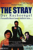 The Stray Movie Poster