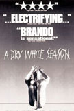 A Dry White Season Movie Poster