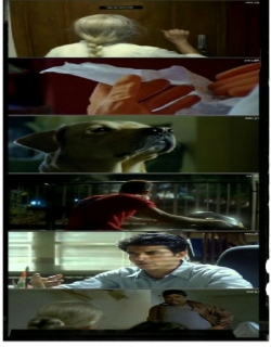 Detective Naani (2009) - Hindi