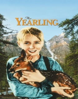 The Yearling Movie Poster