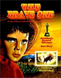 The Brave One Movie Poster