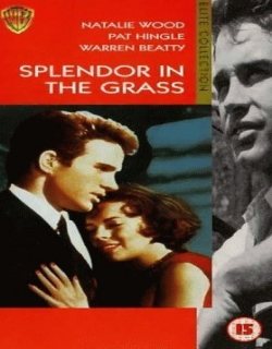 Splendor in the Grass (1961) - English