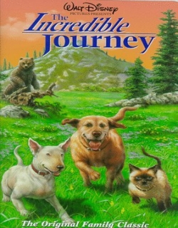 The Incredible Journey (1963) - English