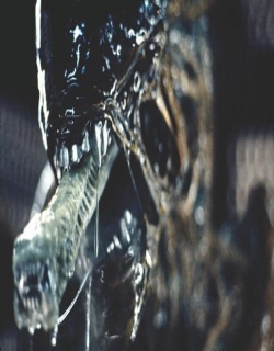 Alien Movie Poster