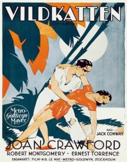 Untamed (1929) First Look Poster