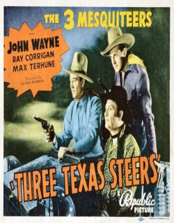 Three Texas Steers Movie Poster