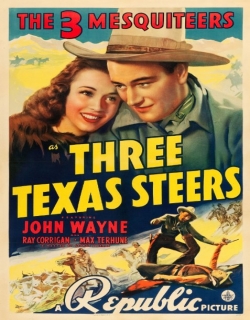 Three Texas Steers Movie Poster
