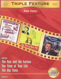 The Time of Your Life Movie Poster