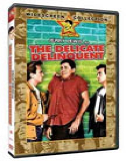 The Delicate Delinquent Movie Poster