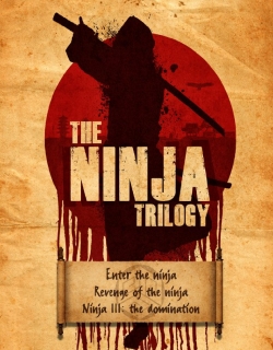 Revenge of the Ninja (1983) - English
