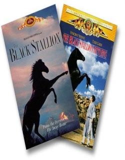The Black Stallion Returns (1983) - English