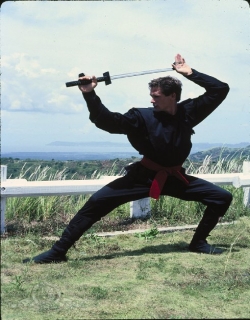 American Ninja Movie Poster