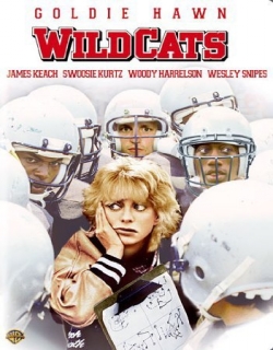 Wildcats Movie Poster