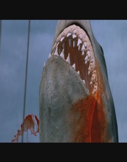 Jaws: The Revenge Movie Poster