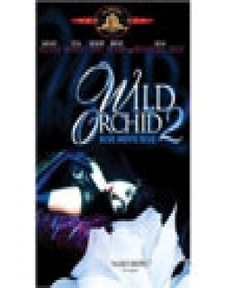 Wild Orchid II: Two Shades of Blue Movie Poster