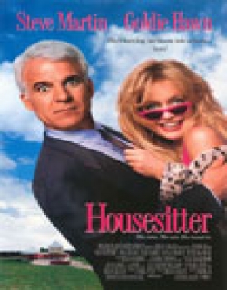 HouseSitter Movie Poster