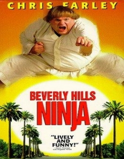 Beverly Hills Ninja Movie Poster