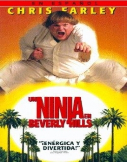 Beverly Hills Ninja Movie Poster