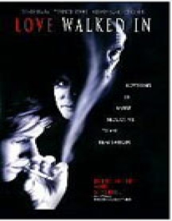 Love Walked In Movie Poster