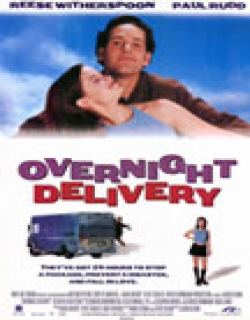 Overnight Delivery Movie Poster