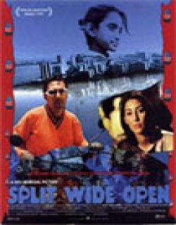 Split Wide Open (1999) - English
