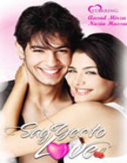 Say Yes To Love (2012) - Hindi