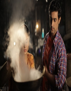 Luv Shuv Tey Chicken Khurana (2012) - Hindi