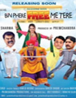 Bin Phere Free Me Tere (2013) - Hindi