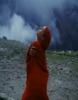 Namkeen (1982) - Hindi