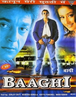 Baaghi (2000) - Hindi