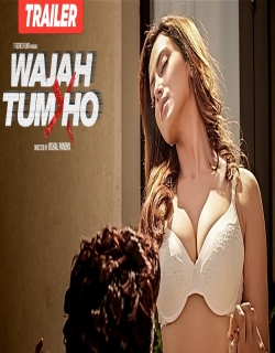 Wajah Tum Ho (2016) First Look Poster