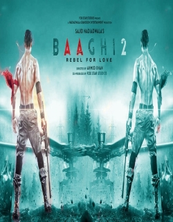 Baaghi 2 Movie Review