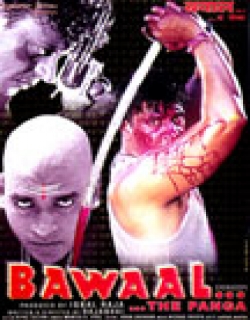 Bawaal.. The Panga (2003) - Hindi