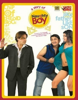 Naughty Boy (2006) - Hindi