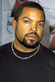 Ice Cube Person Poster
