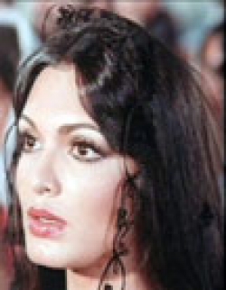 Parveen Babi Person Poster