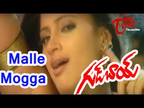 Good Boy - Malle Mogga - Rohit - Navneet Kaur - Telugu Song