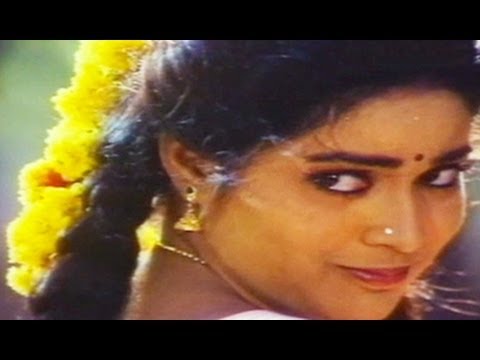 Pelli Koduku Songs - Yegiri Pothunnave - Divyavani - Naresh