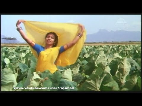Tamil Movie Song - Chinna Thaayi - Naan Ippothum Eppothum Unnudan Irukka Venum (HQ)