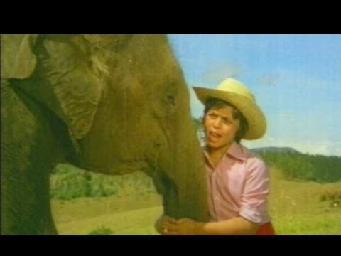 Oru Thaiyin - Ram Laxman Tamil Song
