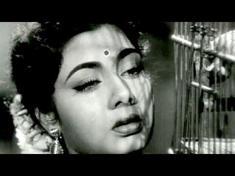 Kadar Jane Na - Nimmi, Lata Mangeshkar, Bhai Bhai Song